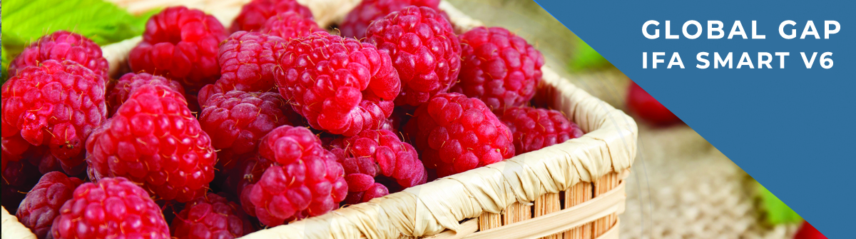 Global Gap standard IFA Smart v6 cena Srbija